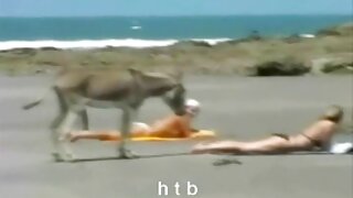 Büyük xnxx azeri siyah horoz masaj